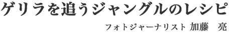 ゲリラを追うジャングルのレシピ/フォトグラファー・加藤亮