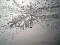 100502-DSCN0721.jpg