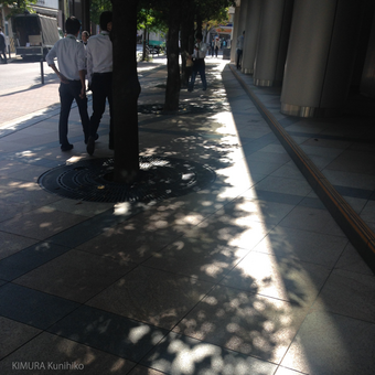 IMG_2305.png