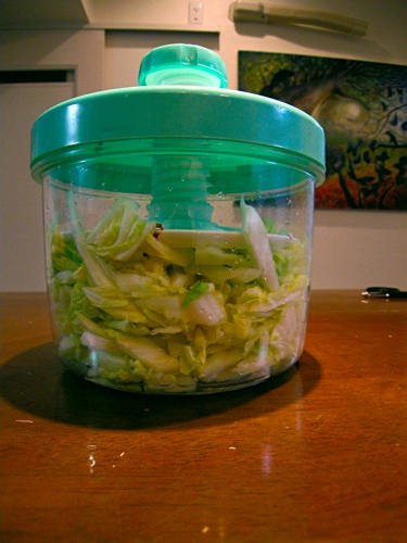 浅漬け器