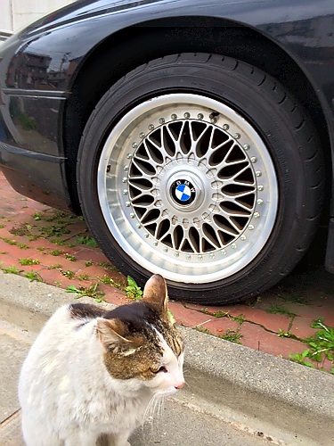 BMWのタイヤをバックに