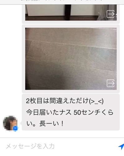 ナスの解説