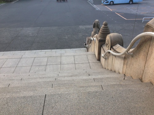 築地本願寺地域ネコ