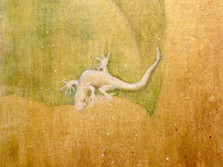 クワズイモの上のヤモリ