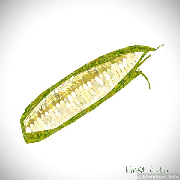トウモロコシイラストモクソン
