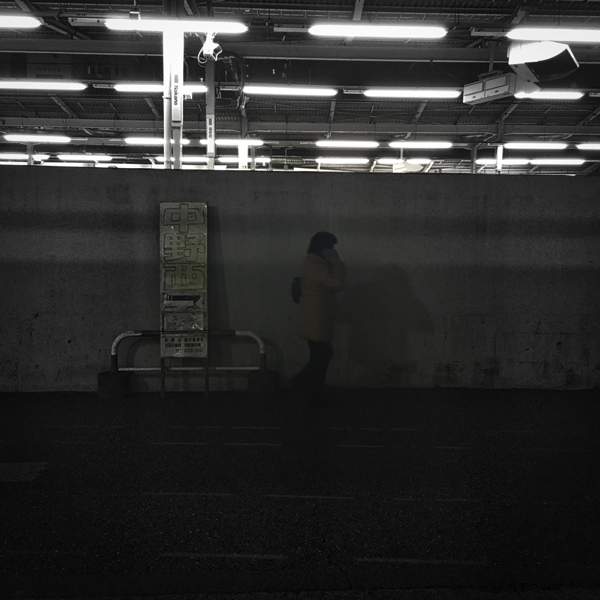 IMG 3699