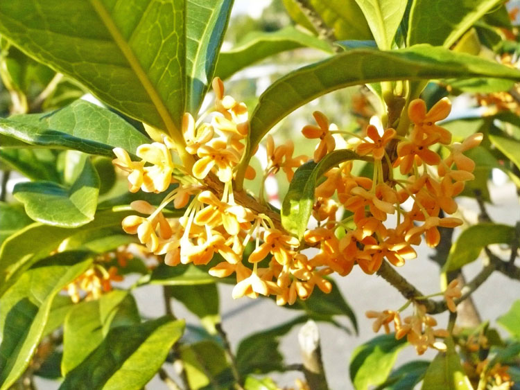 20045-01