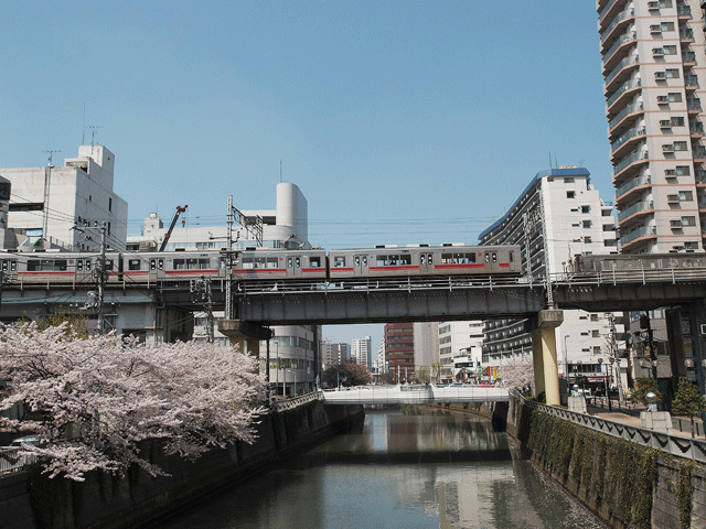 画像：五反田駅近くの目黒川