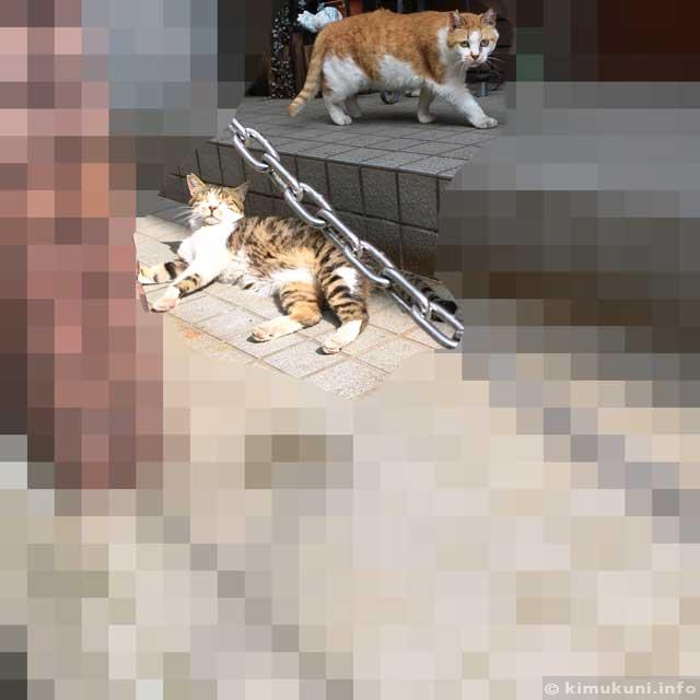 39841-IMG_0651