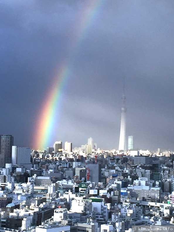 大きな虹