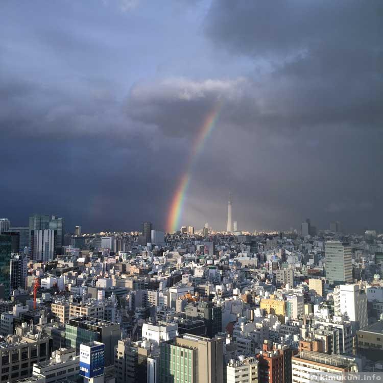 東京スカイツリーの周辺に光が降りそそいでいるみたい