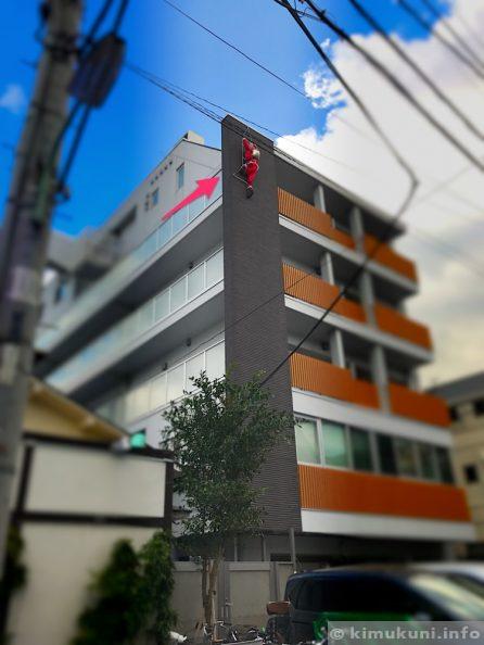赤い服を着てさえいれば、よそのお宅に侵入しても大目に見てもらえるとでも思っているのでしょうか！