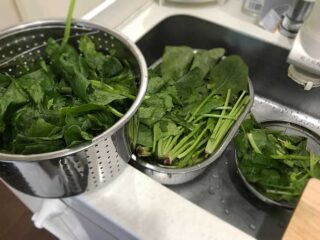 シンクで洗っている「ほうれん草」