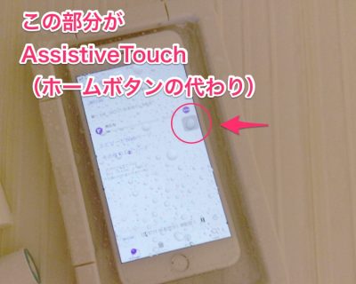 丸で囲った部分がAssistiveTouch。